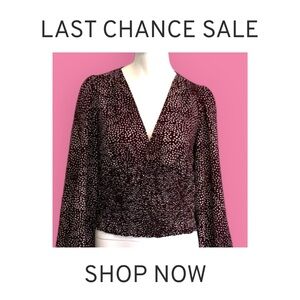 Express Top Size Small Brown Polka Dot Long Sleeve Semi Sheer
